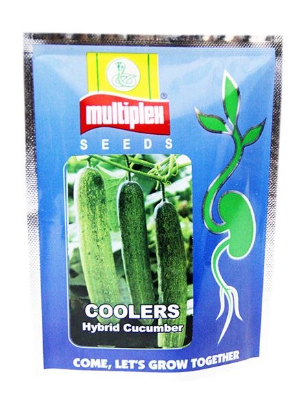 uploads/images/prod/Coolers - Cucumber.png